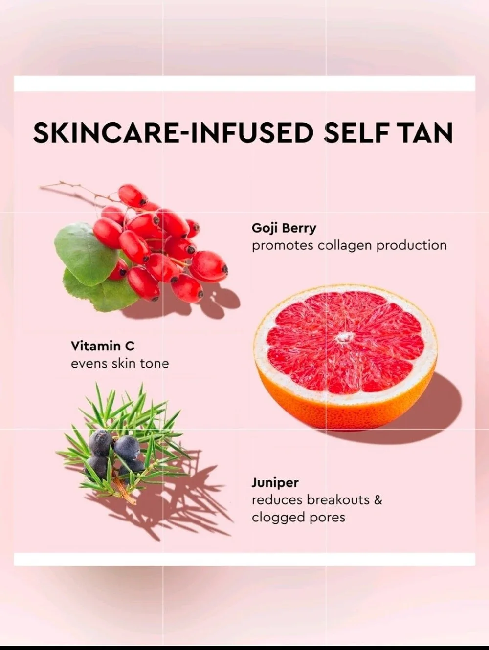 Tanologist transparent self